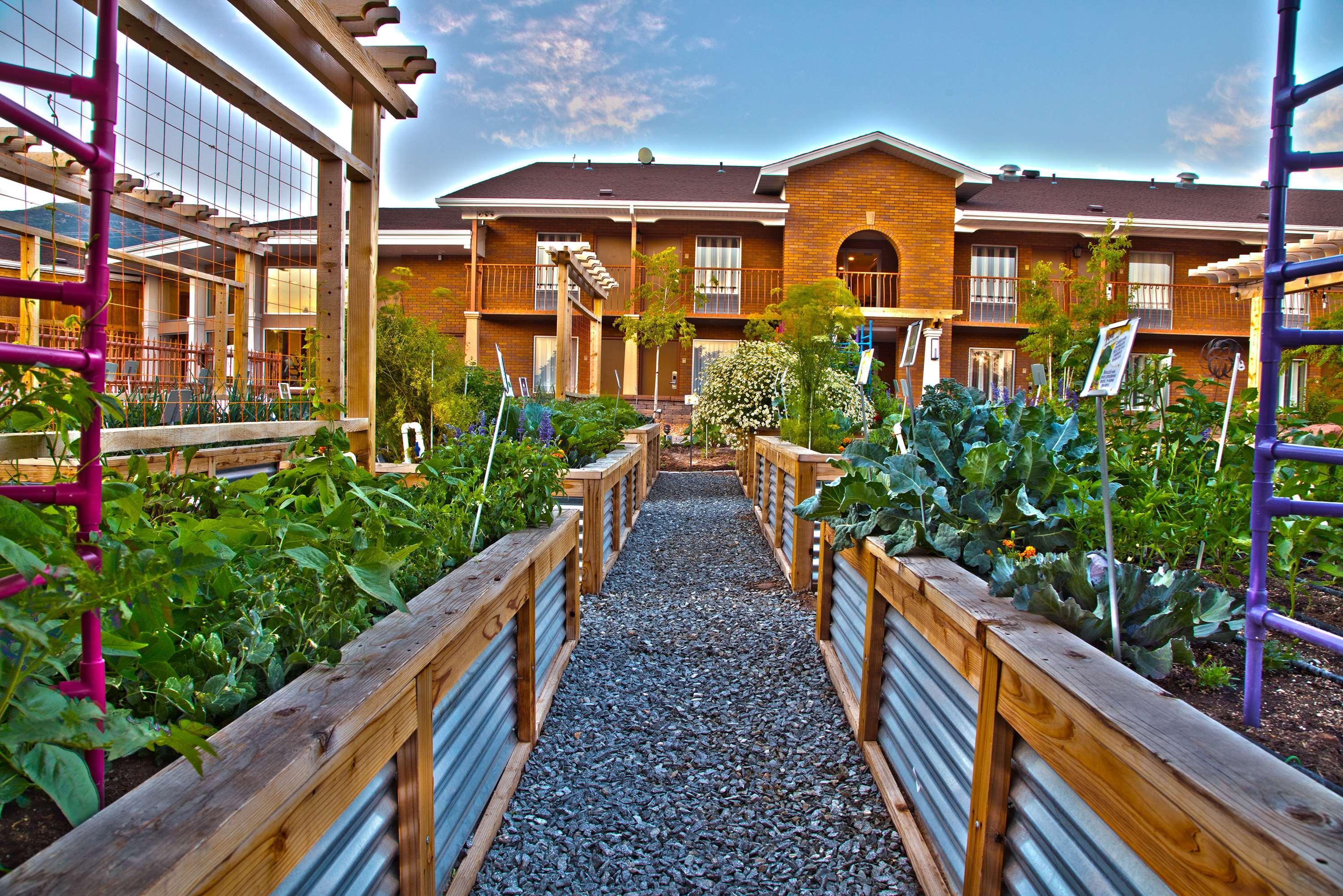 Best Western Plus Cedar City Exterior foto